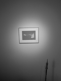 Rimg0340_2